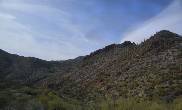 mountain terrain